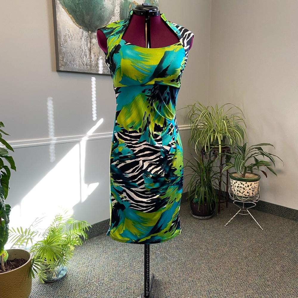 Frank Lyman Dress